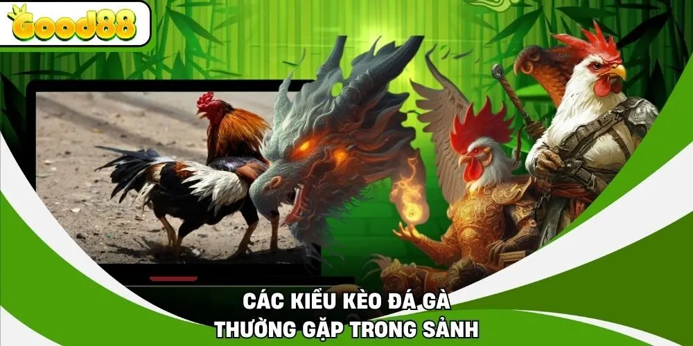 Các kiểu kèo đá gà thường gặp trong sảnh