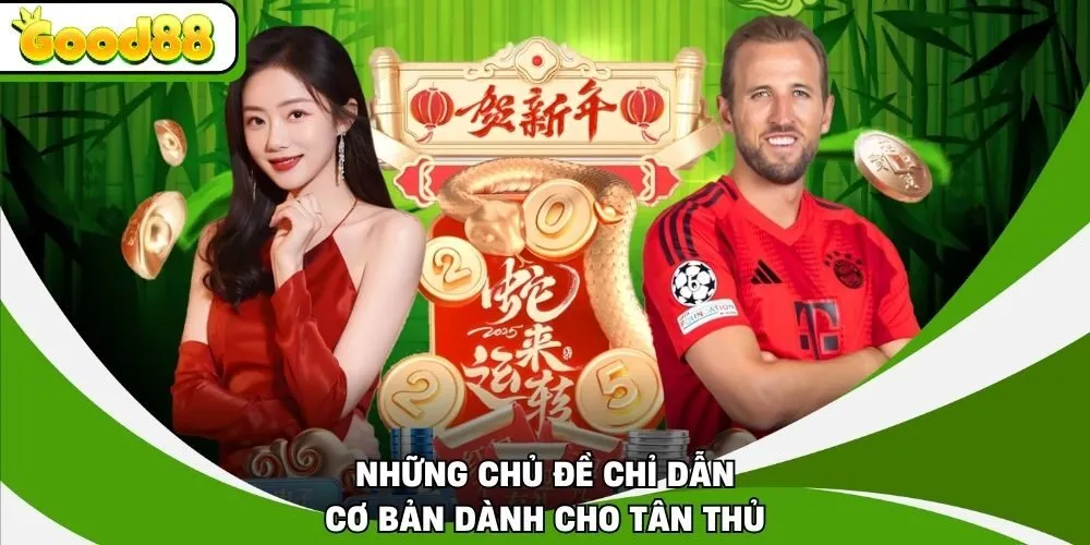 Những chủ đề chỉ dẫn cơ bản dành cho tân thủ