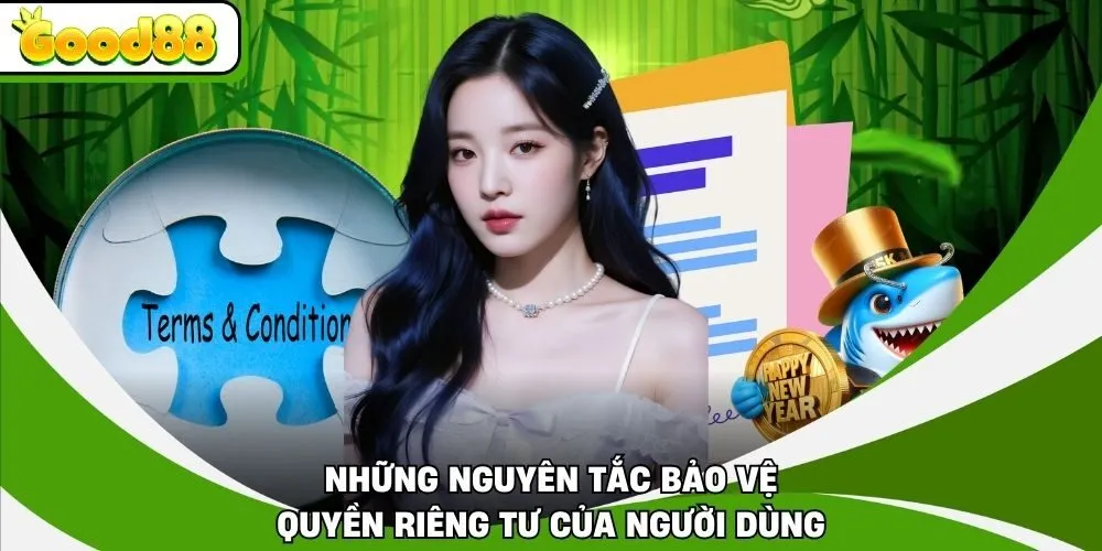 Những nguyên tắc bảo vệ quyền riêng tư của người dùng